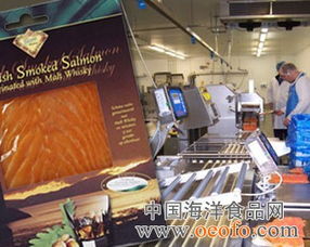 英國法恩水產(chǎn)公司向蘇格蘭加工廠注資120萬英鎊的法律意義與合規(guī)分析